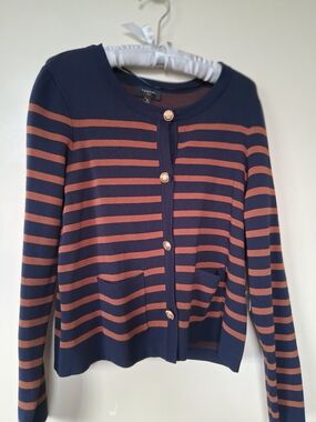 STS Navy and Brown Striped Button-Front Sweater